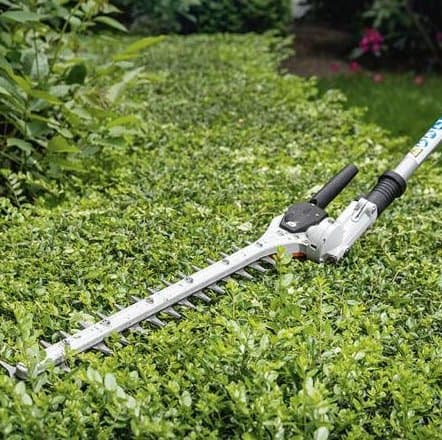 Hedge trimmer resting on a neatly trimmed hedge