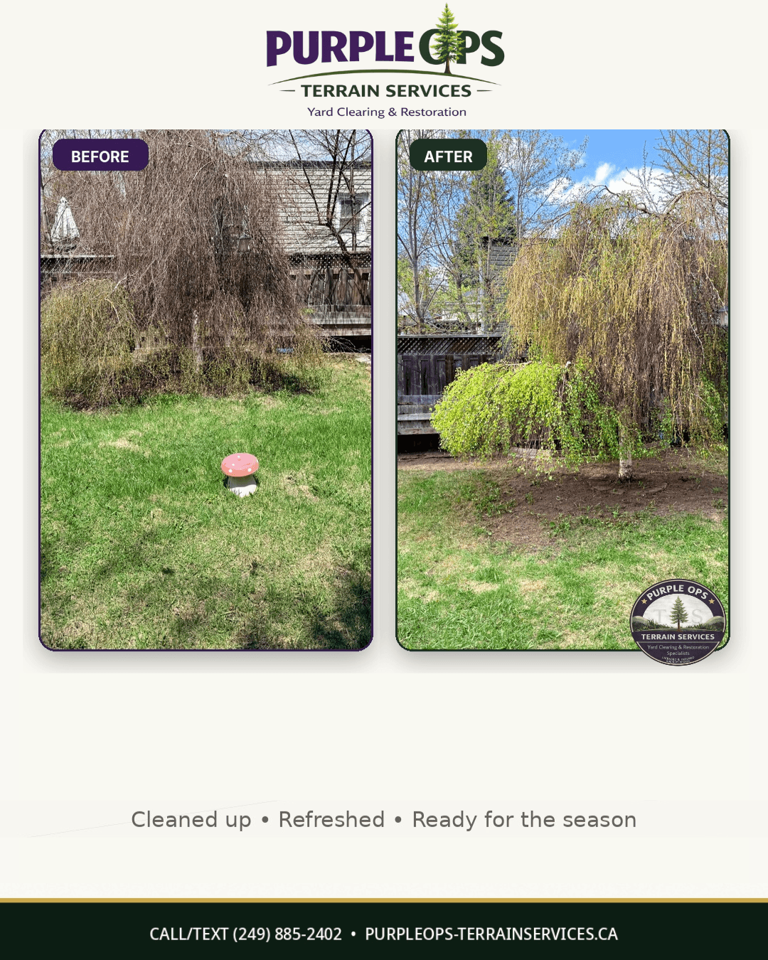 Before and after ornamental tree cleanup with cleared growth around base