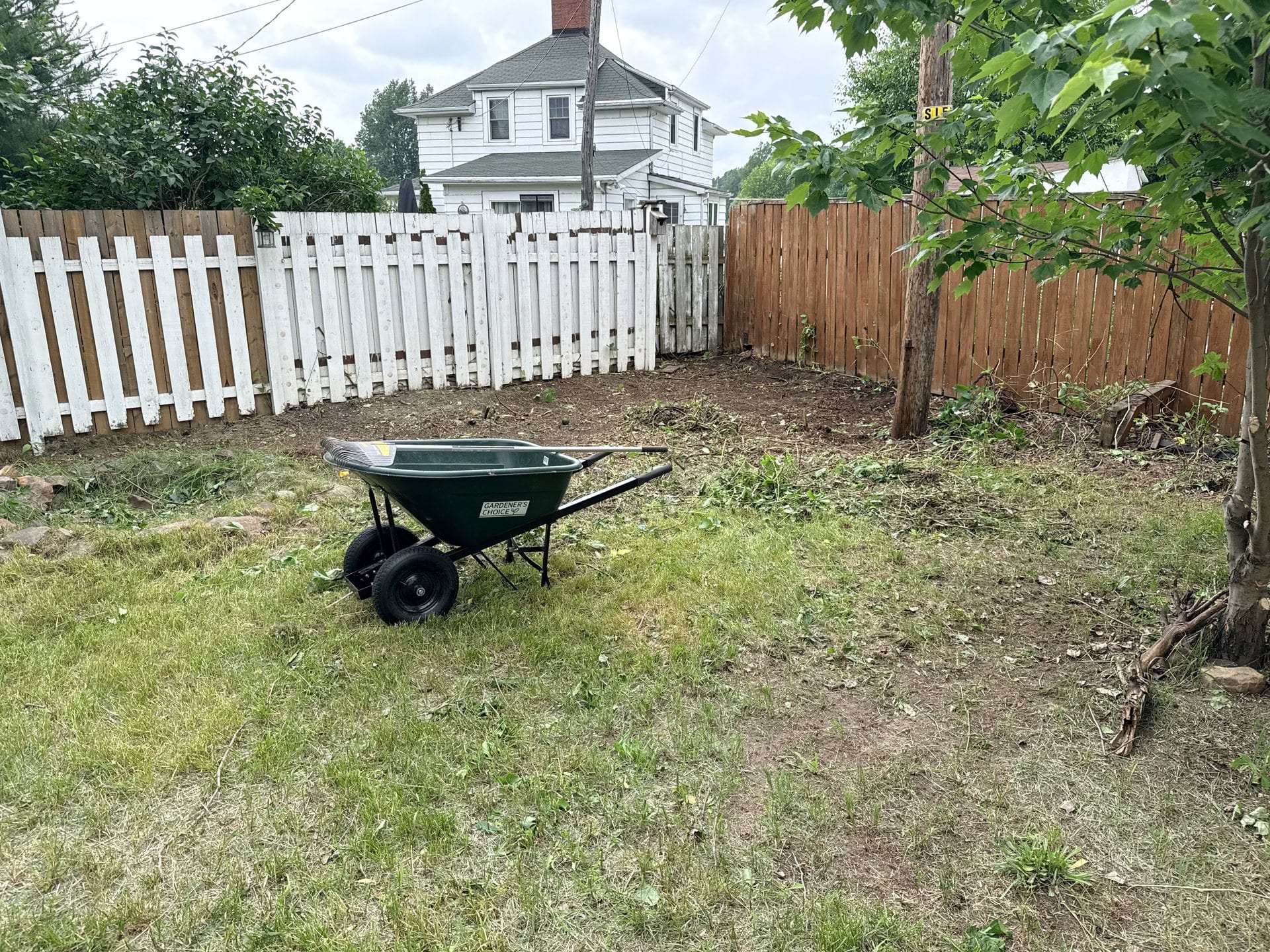 Back corner after brush clearing with fence and ground visible