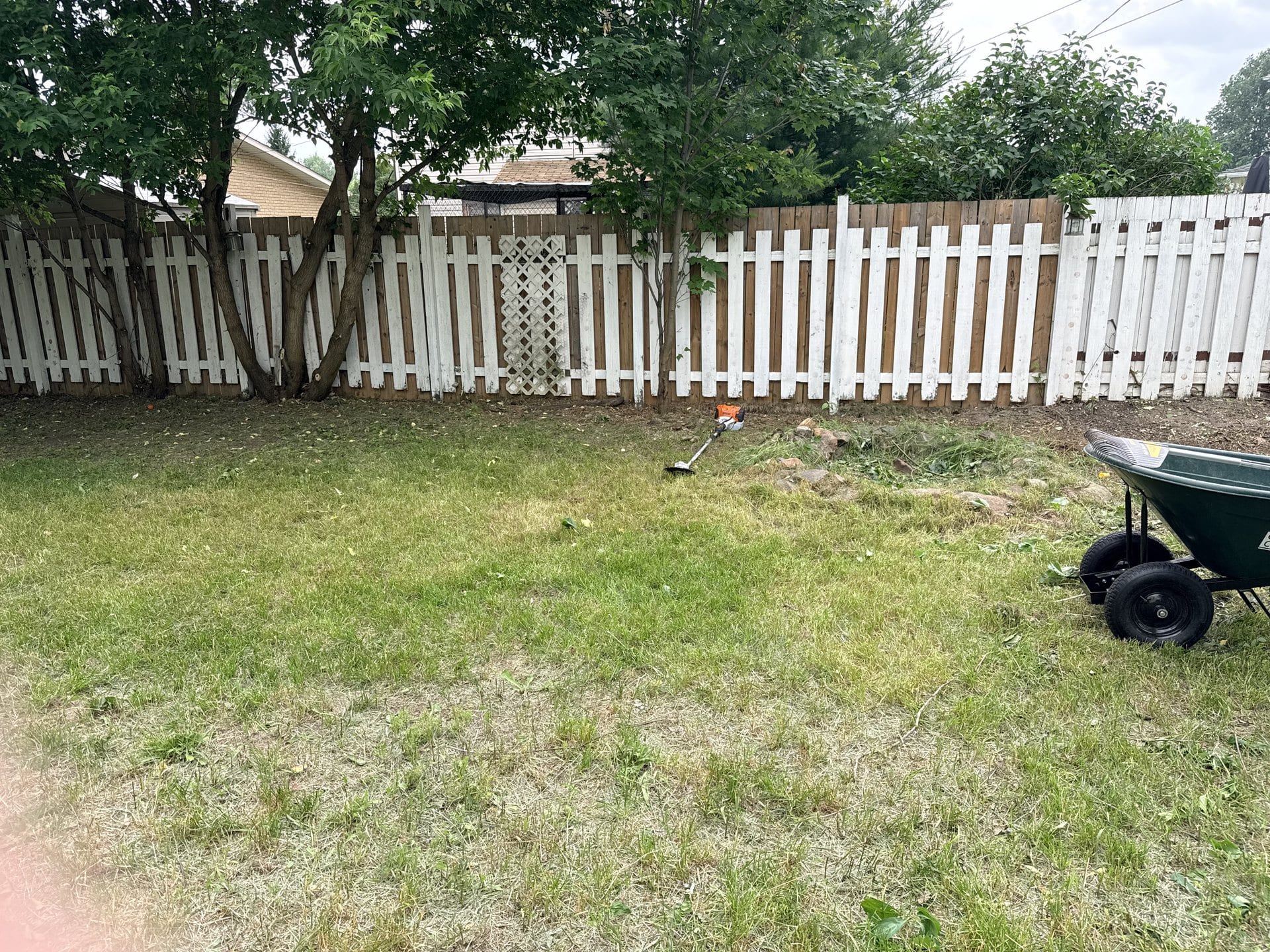 Backyard fence line after overgrowth clearing with open lawn space