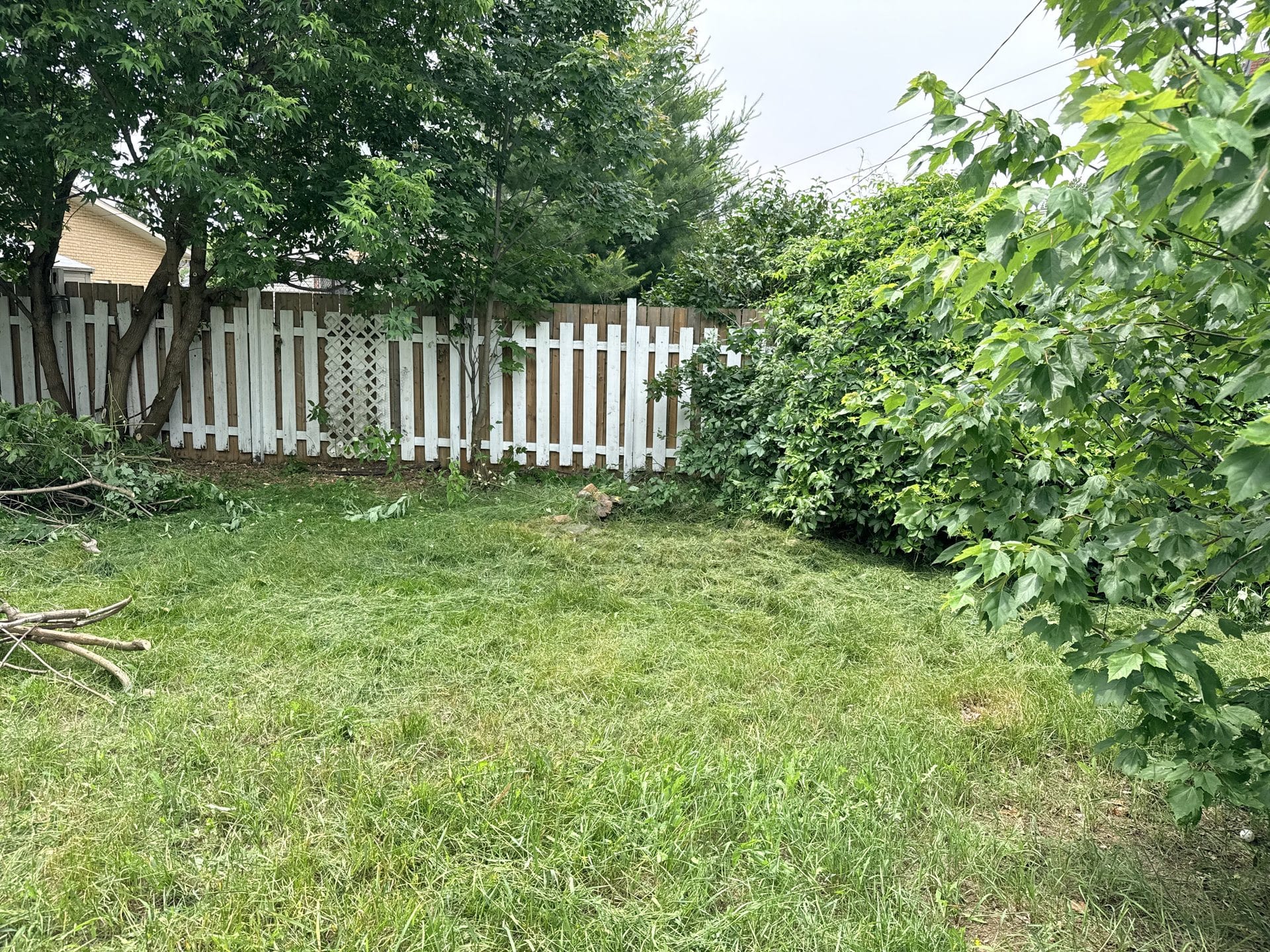Backyard fence line opened up during clearing with branches staged to the side