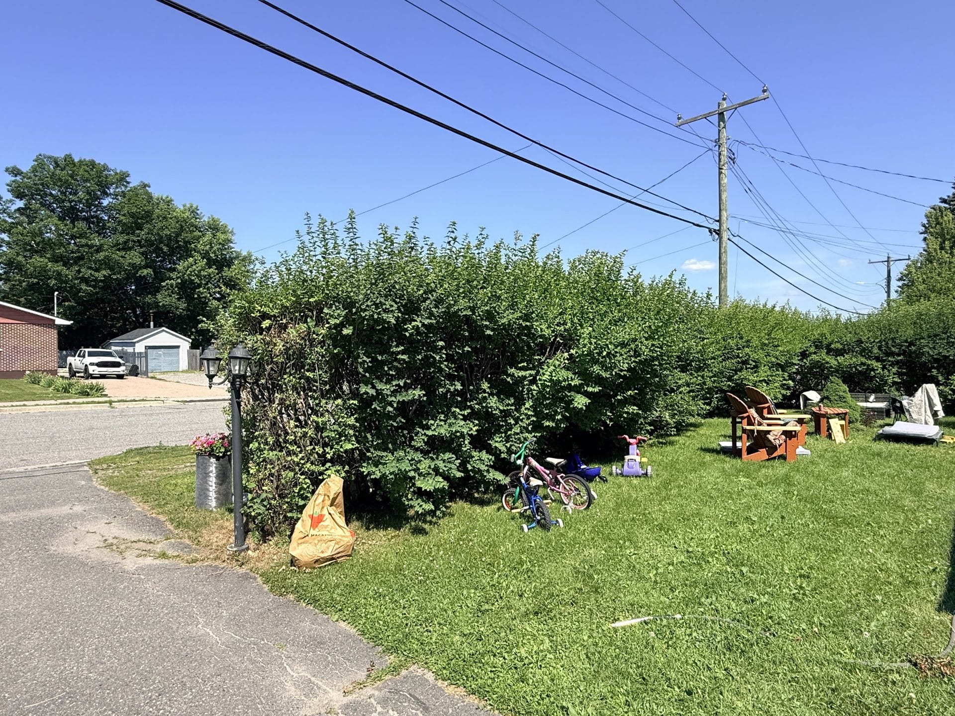 Side yard hedge before trimming and height reduction